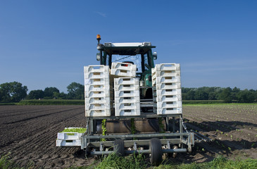 Fototapeta premium farm