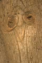 Fototapeta premium Old textured wood boards