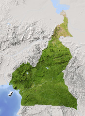 Cameroon, shaded relief map