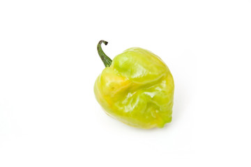 West indian Scotch bonnet chili pepper