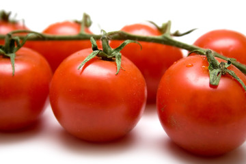Ripe tomatoes on the green branch