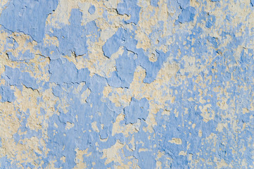 wall