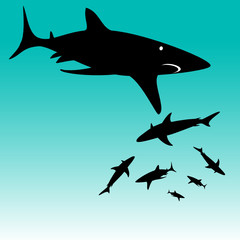 shark vector silhouettes