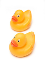 Rubber Ducks isolated on a white studio background.