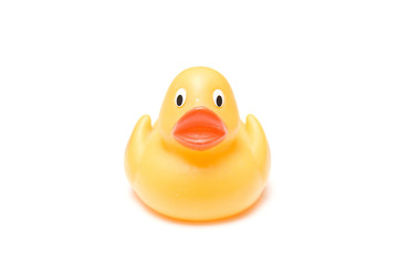 Rubber Duck isolated on a white studio background.