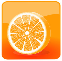 Fresh orange half illustration