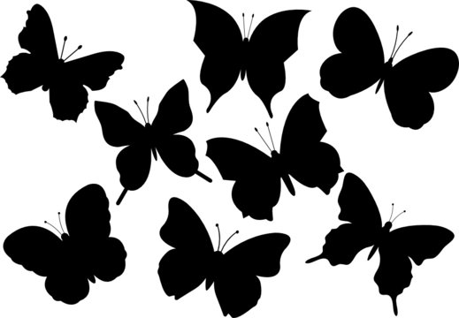Set of various flying butterflies vector illustration