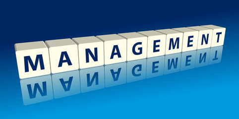 "Management" (blocks with reflection)