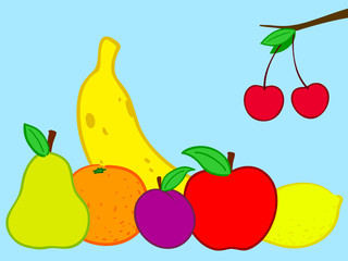 Fruits still life doodle