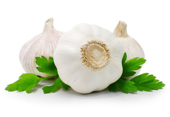 garlic fruits with green parsley leaves