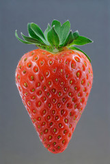 Fragola isolata su sfondo grigio