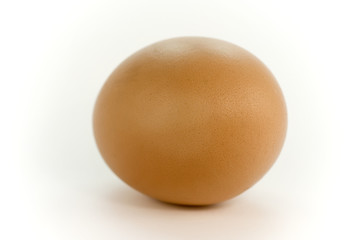 oeuf