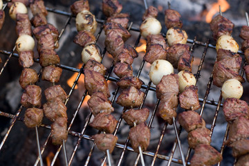 Shish Kebabs