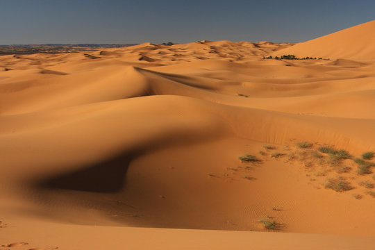 Dune au levant © Pierre-Jean DURIEU