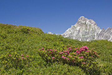 Fr&uuml;hling in den Bergen