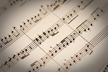 Fototapeta premium Nuty