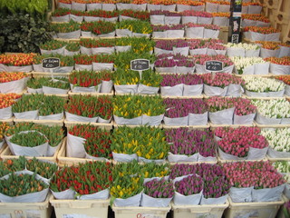 Blumenmarkt A'dam