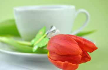 Spring Tea Time