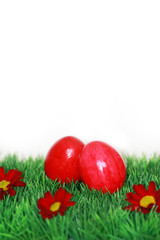 Ostereier mit Wiese freigestellt