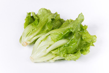 green vegetables on a white background