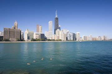 Fototapeta premium Gold Coast in Chicago