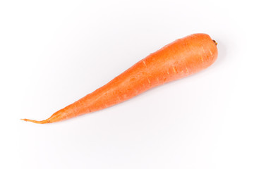 a carrot on a white background