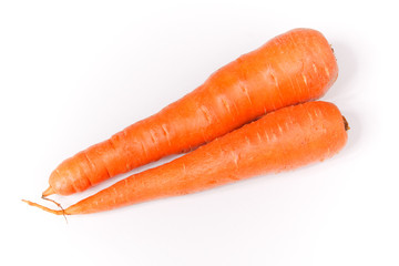 two carrots on a white background