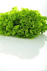 Fototapeta premium Salad
