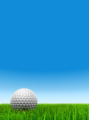 3d white golf ball in green grass on a clear blue sky background