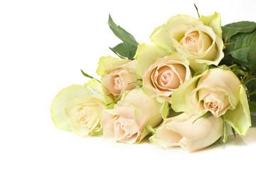 Bouquet of beautiful roses