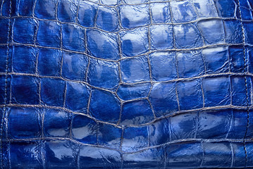 luxury blue leather texture