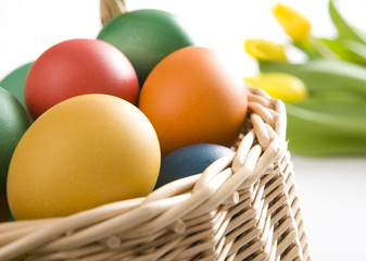 Easter eggs and tulips