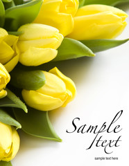Spring Flowers