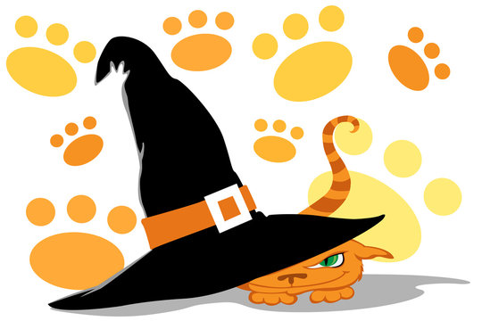 Halloween cat