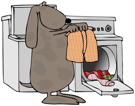 Dog Doing Laundry