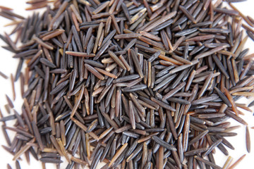 Wild rice zizania