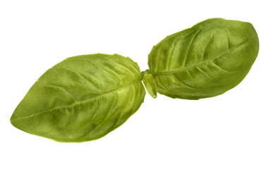 basil leaves