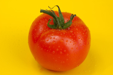 Tomato