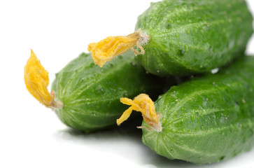 Cucumbers