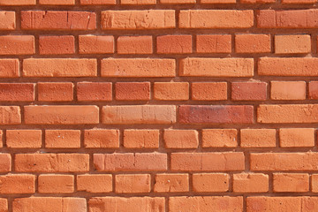 brick wall close up with details in sunny day