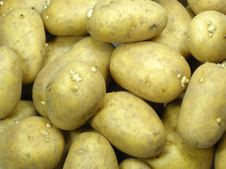 Kartoffeln