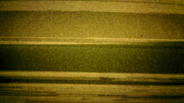 televison fuzz and static