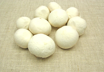 Fototapeta na wymiar Weiße geputzte Champignons auf beiger Tischdecke