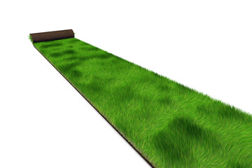 tapis de pelouse déroulé sur fond blanc