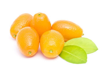kumquats