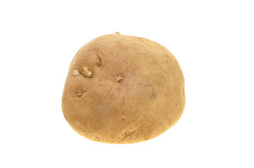 Fototapeta premium Potato