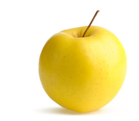 Ripe yellow apple
