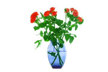 Red roses in a vase.