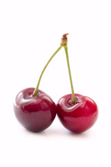 cherries on white background