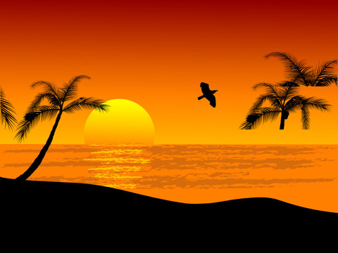 Sunset on the beach - vector illustration